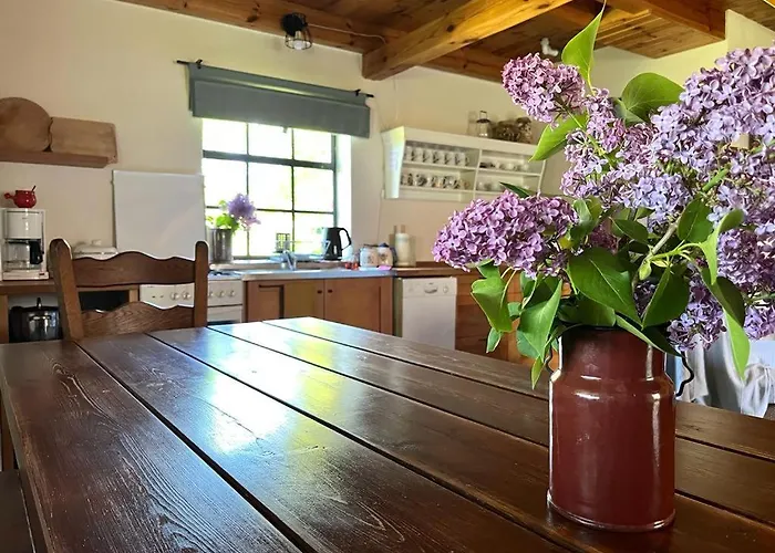Dolina Szczęścia Kartkowo Apartament Czarna Dabrowka